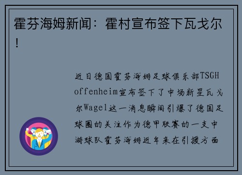 霍芬海姆新闻：霍村宣布签下瓦戈尔！